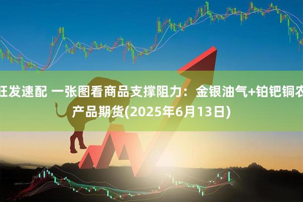 旺发速配 一张图看商品支撑阻力：金银油气+铂钯铜农产品期货(2025年6月13日)