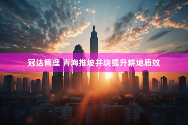 冠达管理 青海推坡并块提升耕地质效