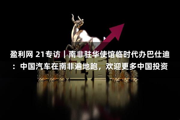 盈利网 21专访｜南非驻华使馆临时代办巴仕迪：中国汽车在南非遍地跑，欢迎更多中国投资