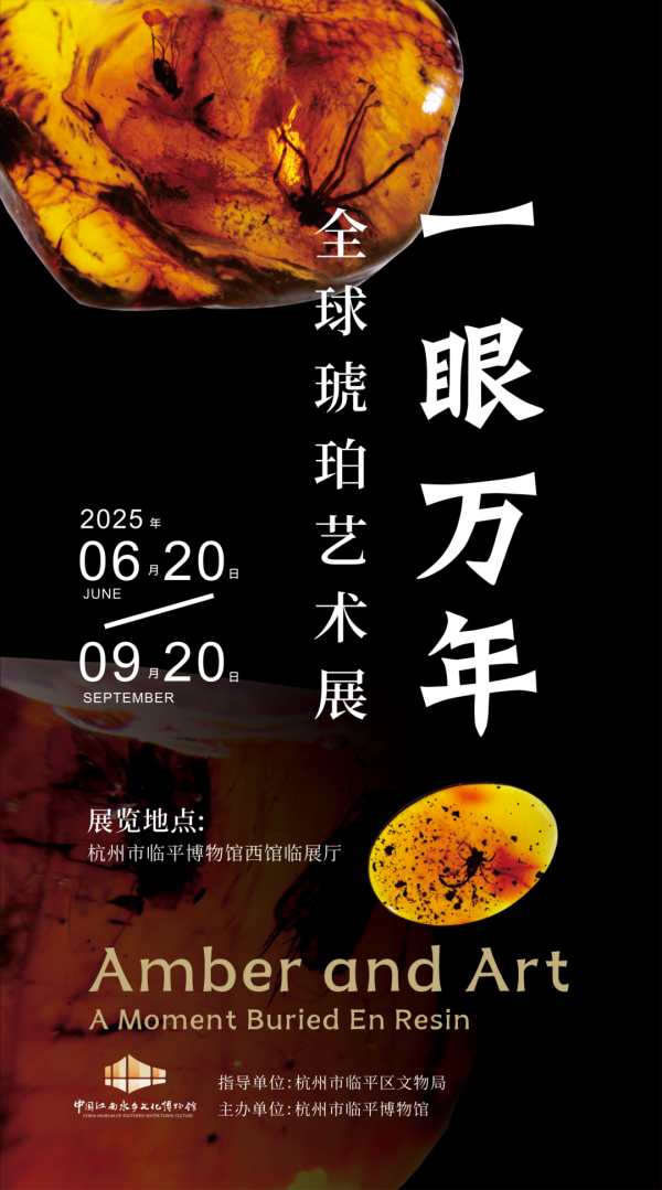 龙辉优配 “一眼万年——全球琥珀艺术展”开幕！