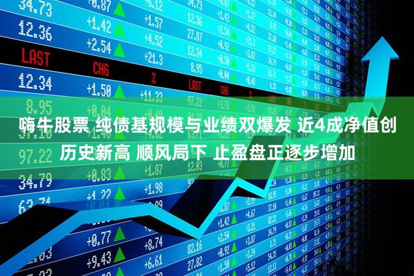 嗨牛股票 纯债基规模与业绩双爆发 近4成净值创历史新高 顺风局下 止盈盘正逐步增加