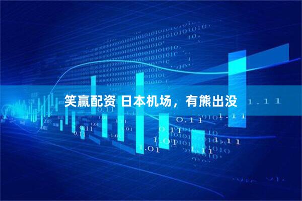 笑赢配资 日本机场，有熊出没