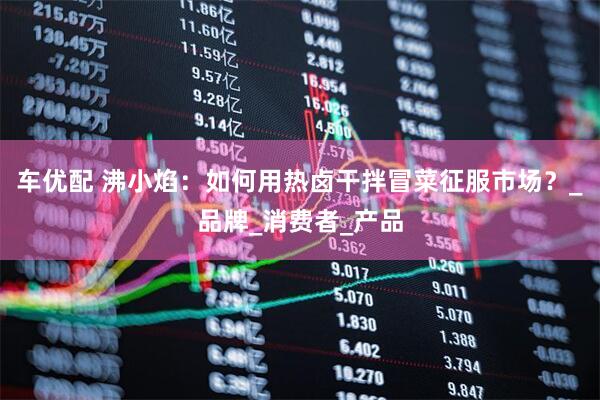 车优配 沸小焰：如何用热卤干拌冒菜征服市场？_品牌_消费者_产品