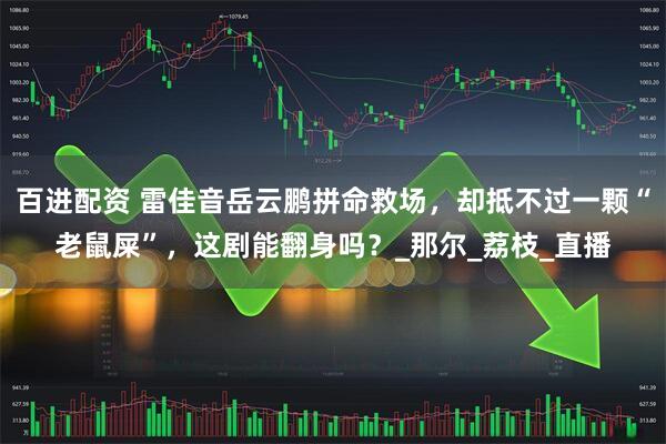 百进配资 雷佳音岳云鹏拼命救场，却抵不过一颗“老鼠屎”，这剧能翻身吗？_那尔_荔枝_直播