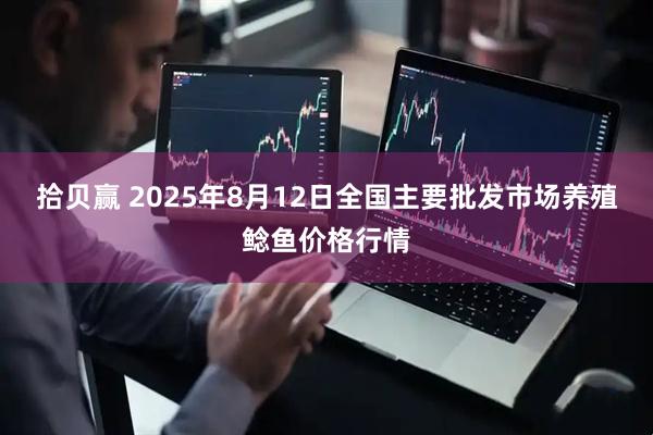 拾贝赢 2025年8月12日全国主要批发市场养殖鲶鱼价格行情