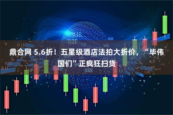 鼎合网 5.6折！五星级酒店法拍大折价，“毕伟国们”正疯狂扫货